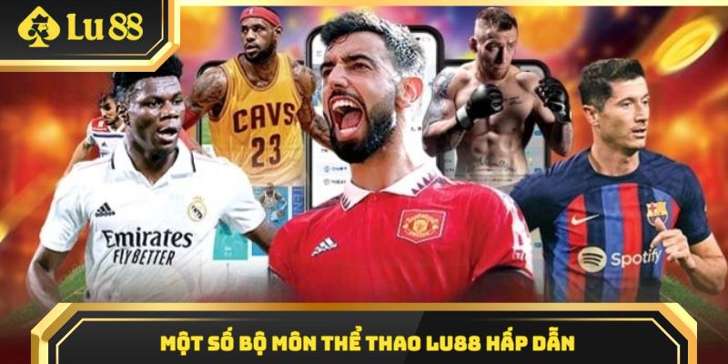 Điểm danh 4 bộ môn hấp dẫn trong sảnh thể thao