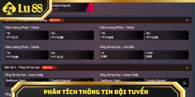 Phân tích thông tin đội tuyển